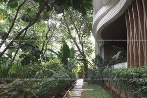 Revitalize Your Lawn in 5 Easy and Effective Ways