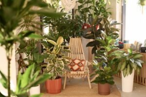 Transform Your Indoor Space for Summer: Light, Airy, and Inviting